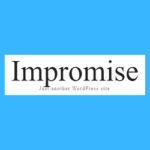 Profile picture of impromiseorg